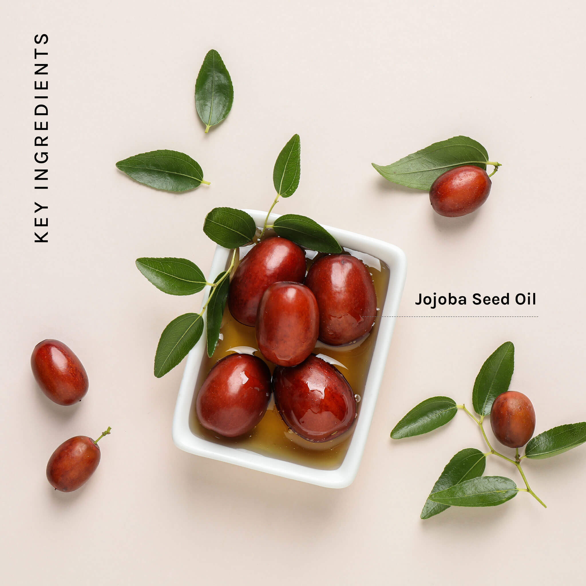 HydraBliss Daily Moisturizing Cream
