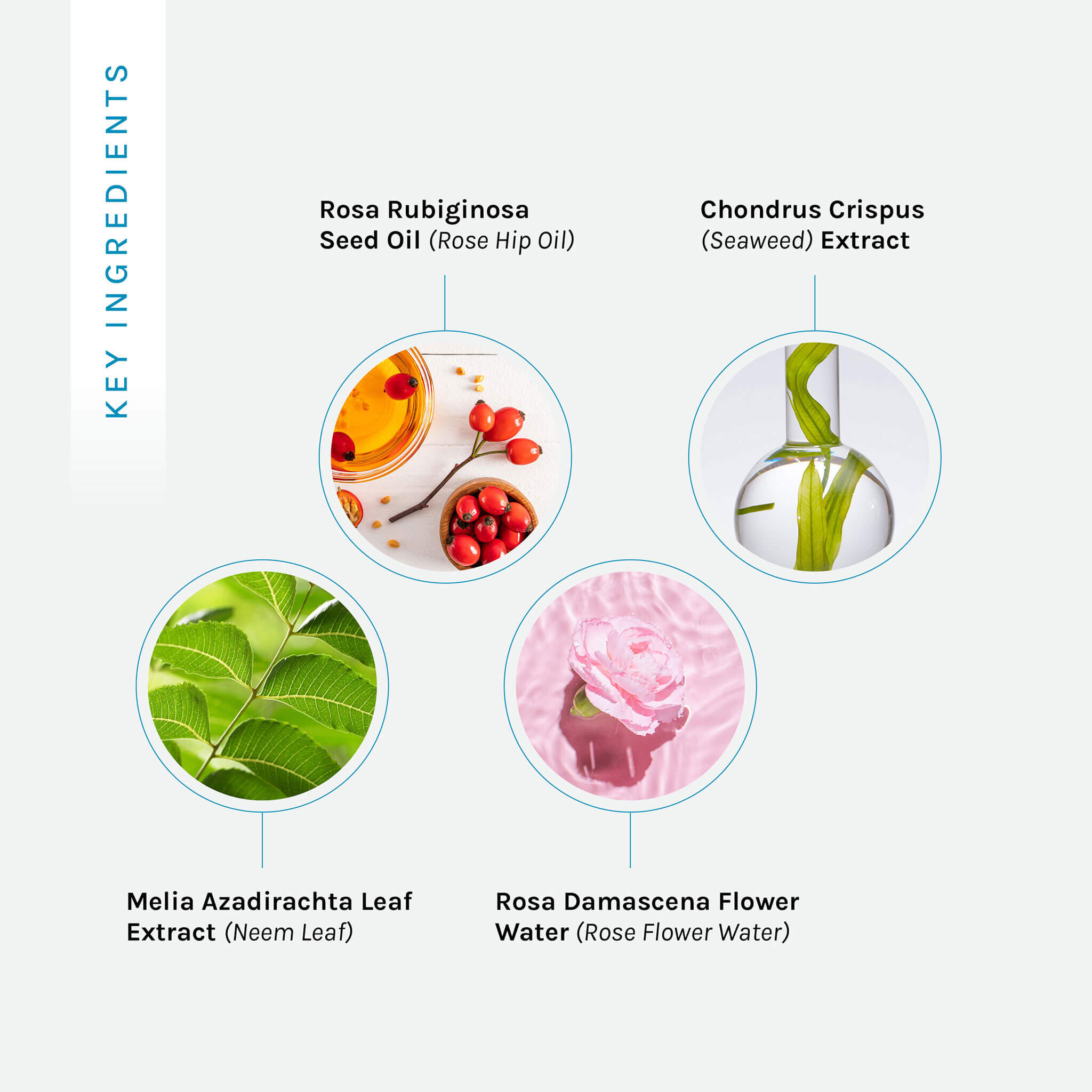 Botanical Balance Cleansing Gel
