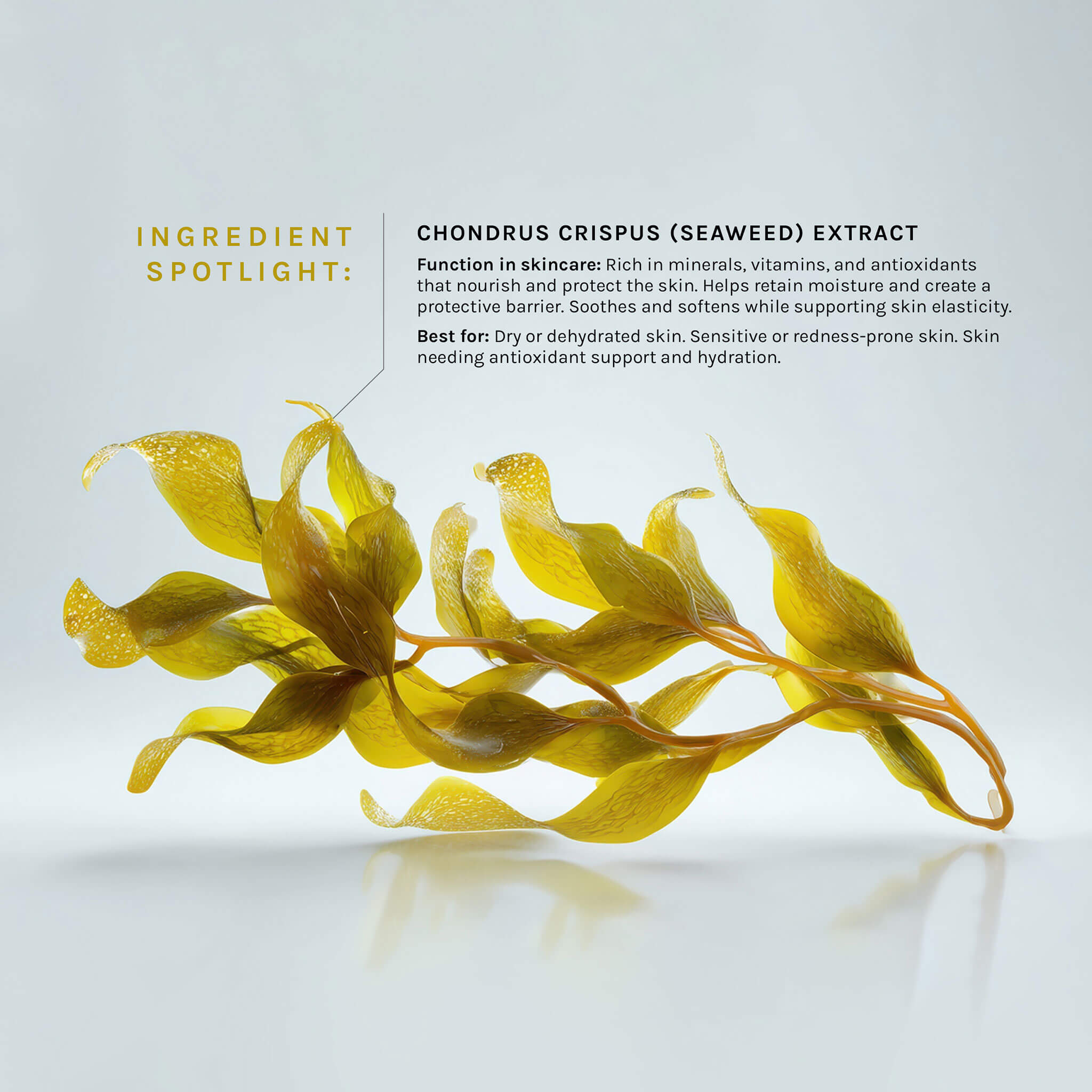 Micro-Pore Clarifying Serum