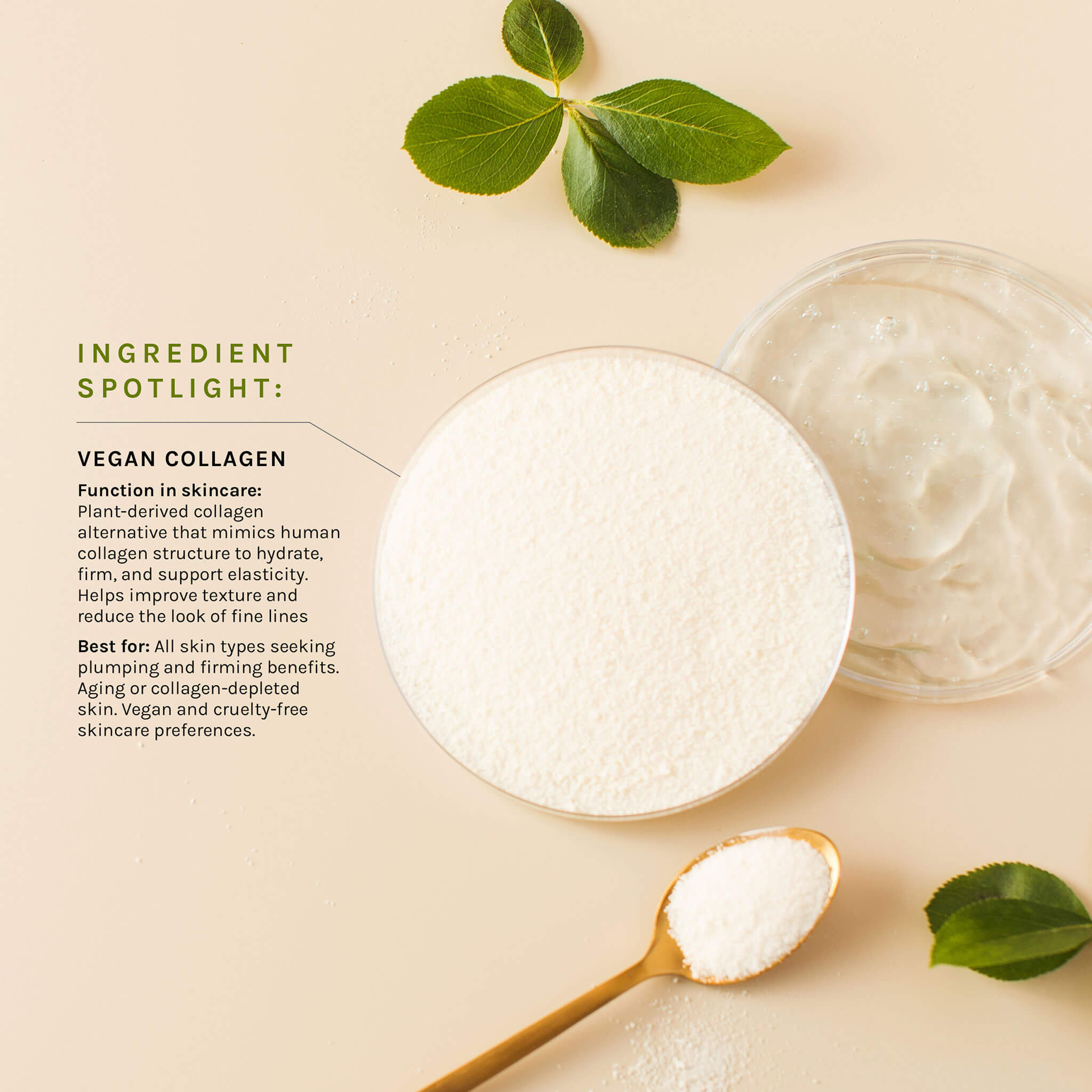 Pro-Collagen Oil-Infused Micro Serum
